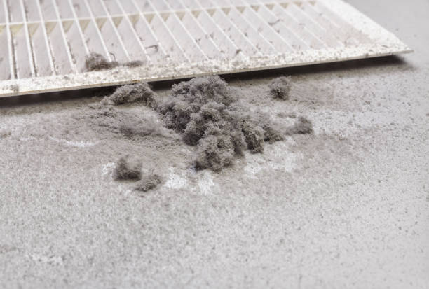 Best Affordable Air Duct Cleaning  in Kirby, TX